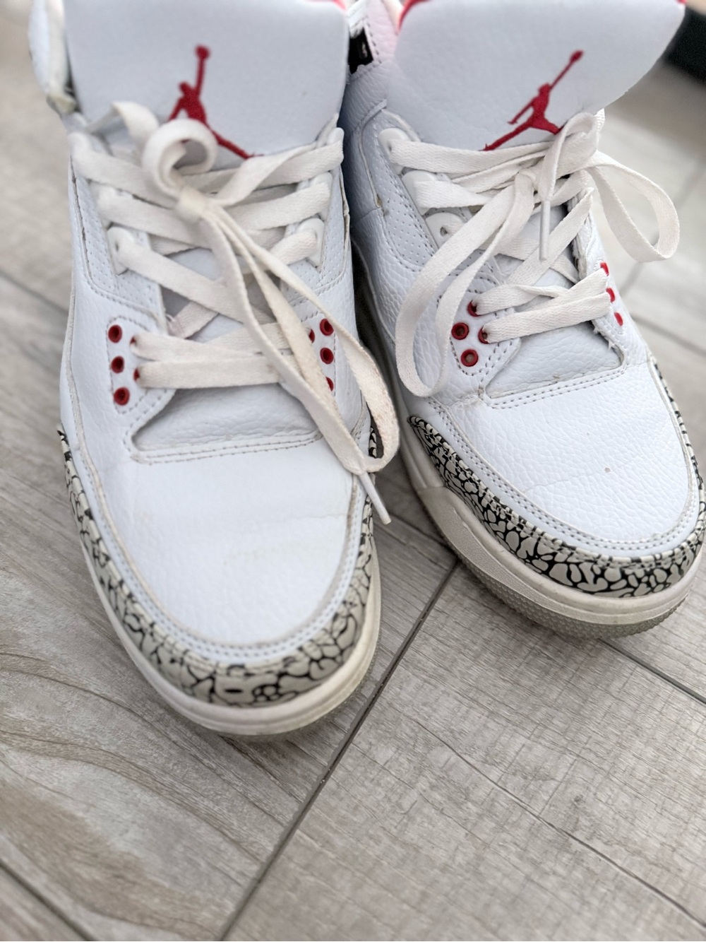 UA Jordan 3s